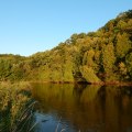 The Ultimate Guide to Visiting Museums in Kent County, Michigan